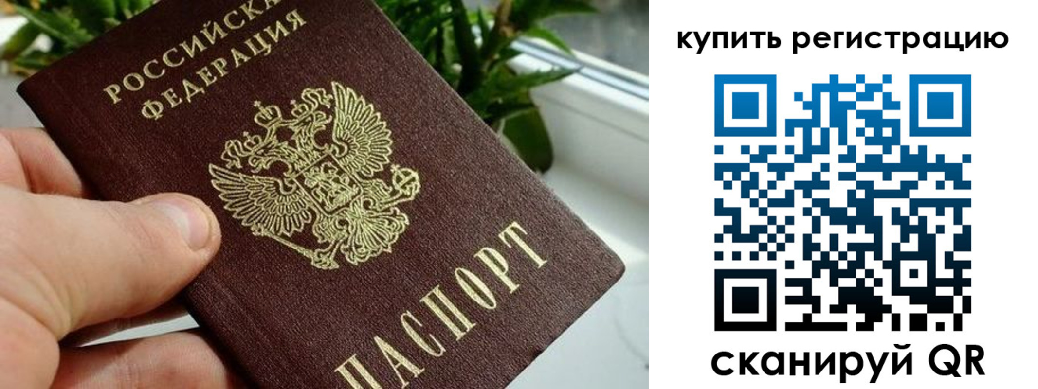 прописка гарантия в Гороховце